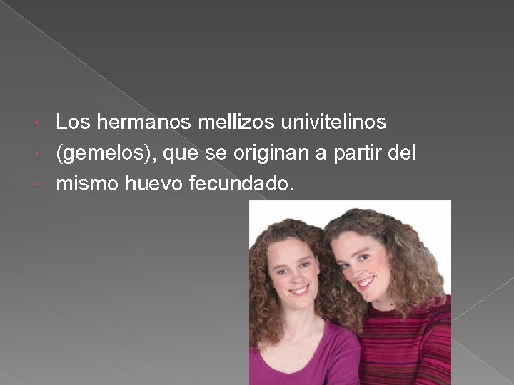 Los hermanos mellizos univitelinos (gemelos), que se originan a partir del mismo huevo fecundado.