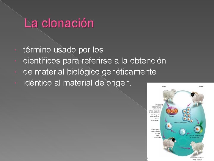La clonación término usado por los científicos para referirse a la obtención de material