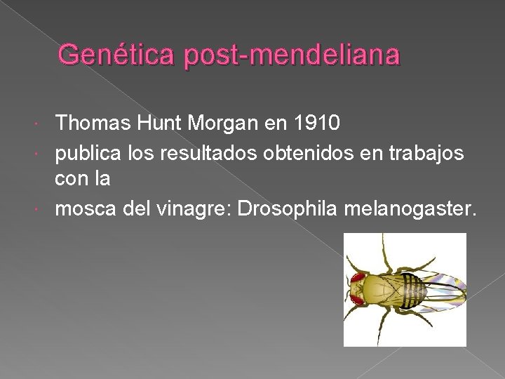 Genética post-mendeliana Thomas Hunt Morgan en 1910 publica los resultados obtenidos en trabajos con