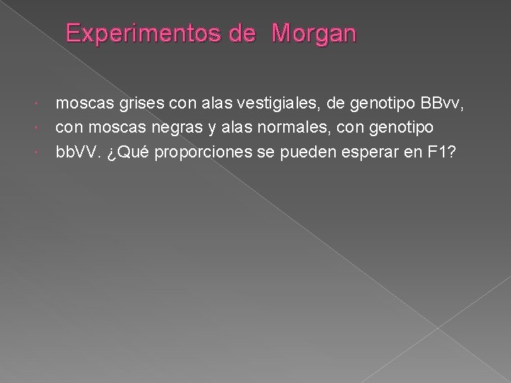 Experimentos de Morgan moscas grises con alas vestigiales, de genotipo BBvv, con moscas negras