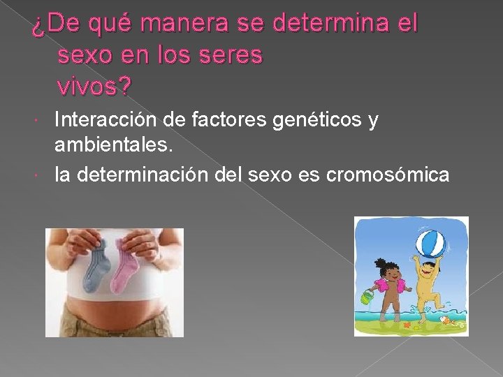 ¿De qué manera se determina el sexo en los seres vivos? Interacción de factores