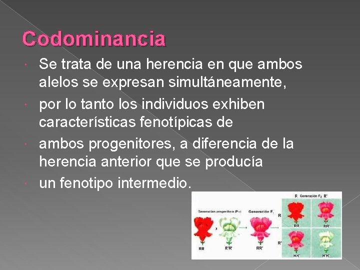 Codominancia Se trata de una herencia en que ambos alelos se expresan simultáneamente, por
