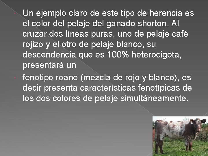 Un ejemplo claro de este tipo de herencia es el color del pelaje del