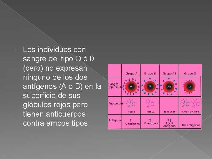  Los individuos con sangre del tipo O ó 0 (cero) no expresan ninguno