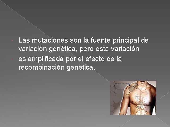 Las mutaciones son la fuente principal de variación genética, pero esta variación es amplificada