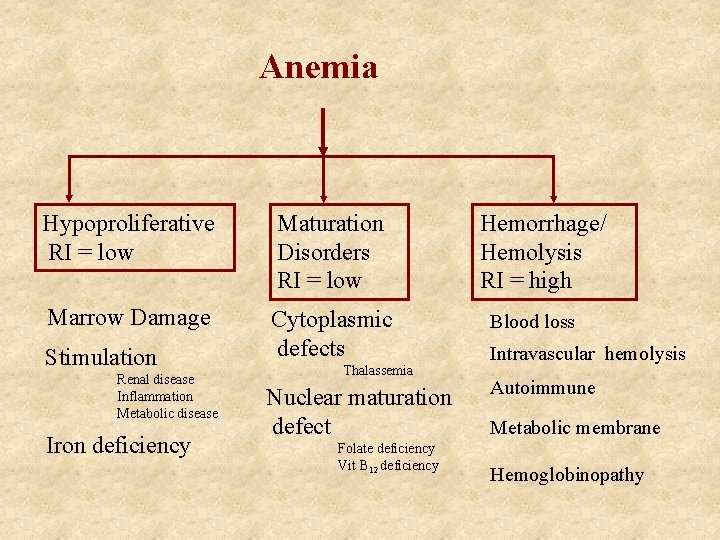 Anemia Hypoproliferative RI = low Maturation Disorders RI = low Marrow Damage Cytoplasmic defects