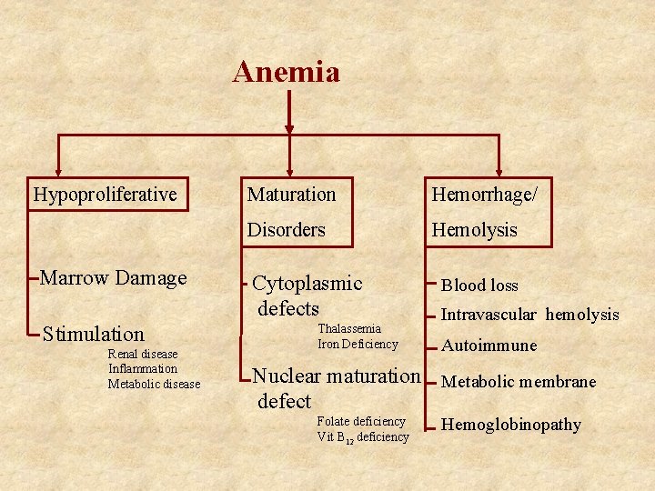 Anemia Hypoproliferative Marrow Damage Stimulation Renal disease Inflammation Metabolic disease Maturation Hemorrhage/ Disorders Hemolysis