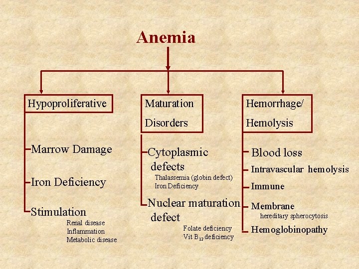 Anemia Hypoproliferative Marrow Damage Iron Deficiency Stimulation Renal disease Inflammation Metabolic disease Maturation Hemorrhage/