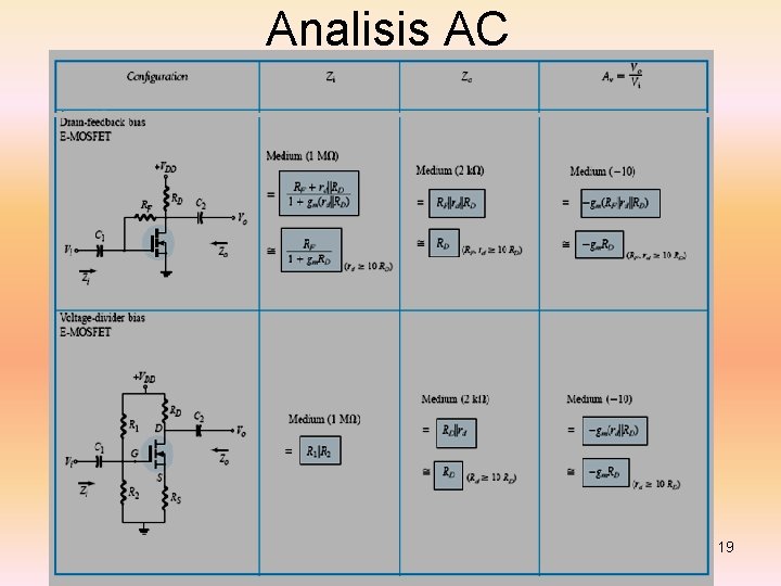 Analisis AC 19 