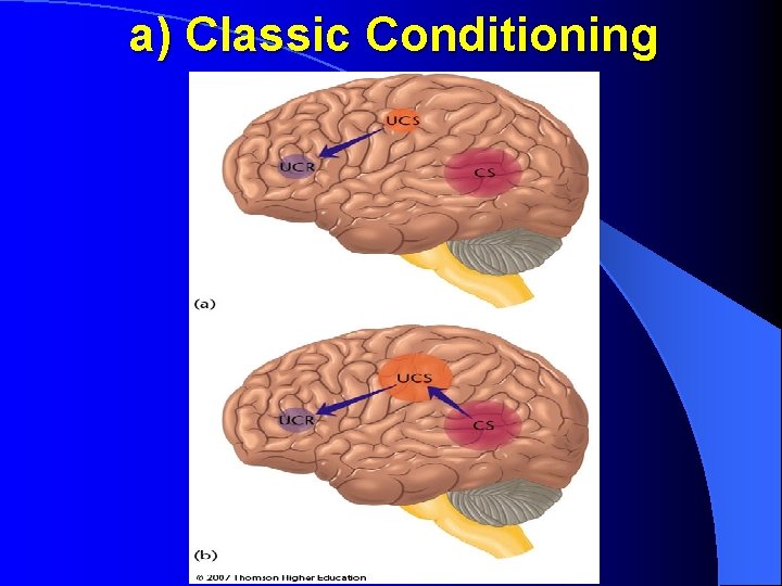 a) Classic Conditioning 