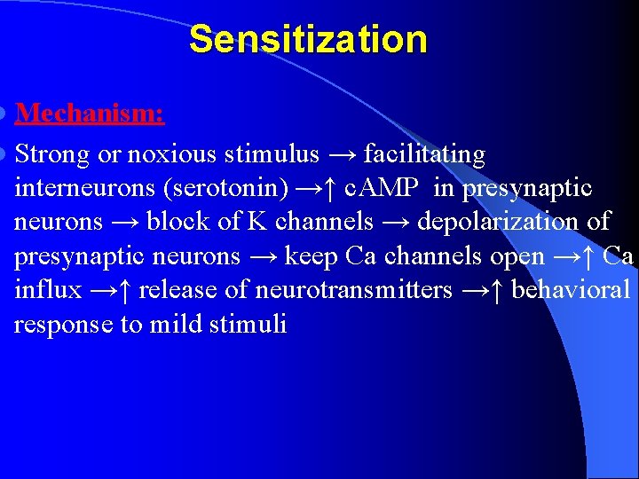 Sensitization l Mechanism: l Strong or noxious stimulus → facilitating interneurons (serotonin) →↑ c.