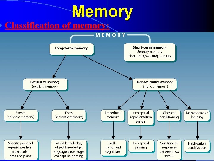 l Classification Memory of memory: 