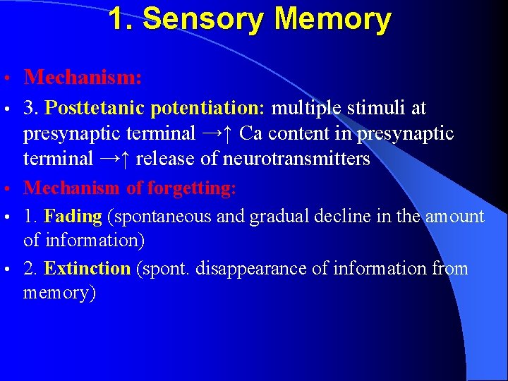 1. Sensory Memory • Mechanism: • 3. Posttetanic potentiation: multiple stimuli at presynaptic terminal