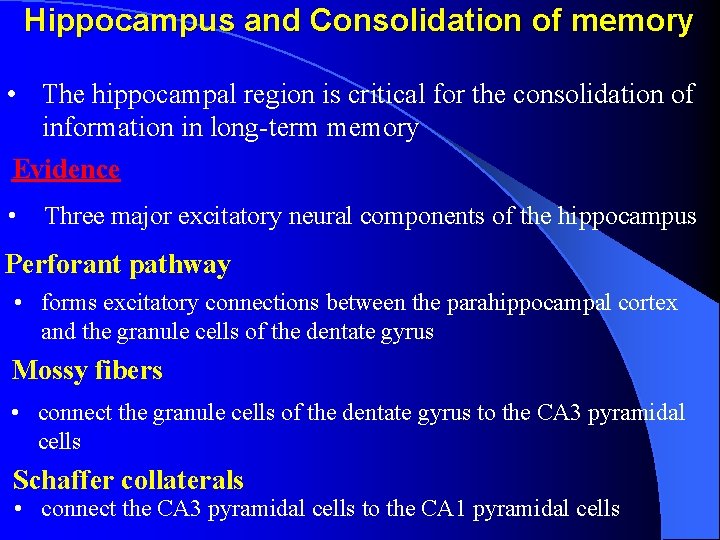 Hippocampus and Consolidation of memory • The hippocampal region is critical for the consolidation