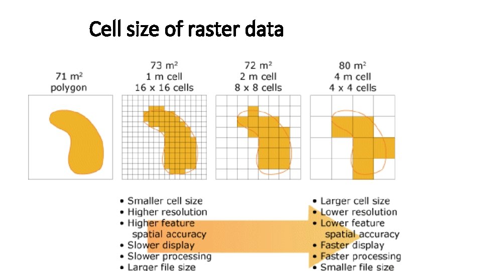 Cell size of raster data 