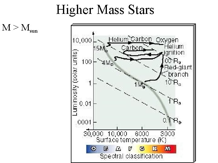 Higher Mass Stars M > Msun 