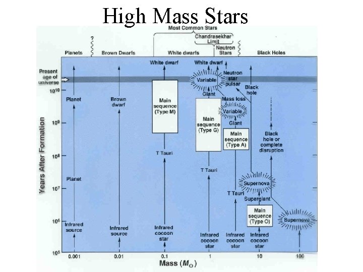 High Mass Stars 