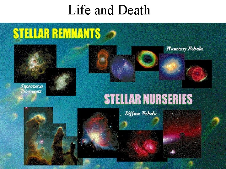 Life and Death 