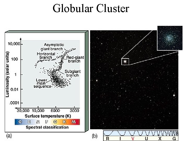Globular Cluster 
