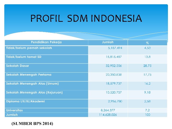 PROFIL SDM INDONESIA 