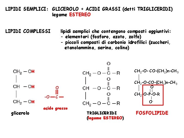 LIPIDI SEMPLICI: GLICEROLO + ACIDI GRASSI (detti TRIGLICERIDI) legame ESTEREO LIPIDI COMPLESSI H CH