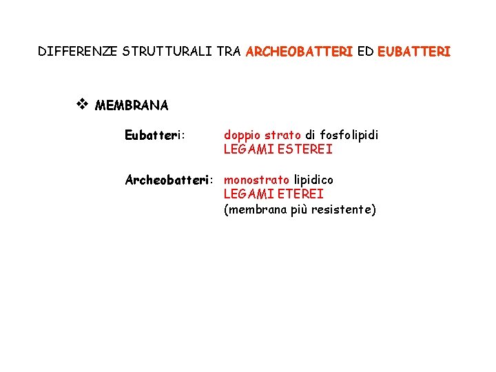 DIFFERENZE STRUTTURALI TRA ARCHEOBATTERI ED EUBATTERI v MEMBRANA Eubatteri: doppio strato di fosfolipidi LEGAMI