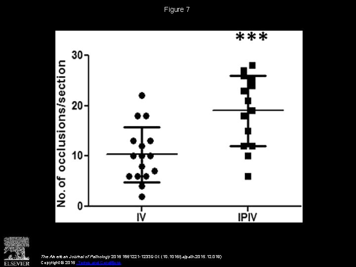Figure 7 The American Journal of Pathology 2016 1861221 -1233 DOI: (10. 1016/j. ajpath.