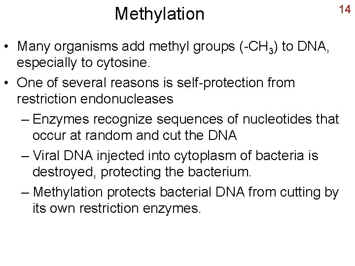 Methylation 14 • Many organisms add methyl groups (-CH 3) to DNA, especially to