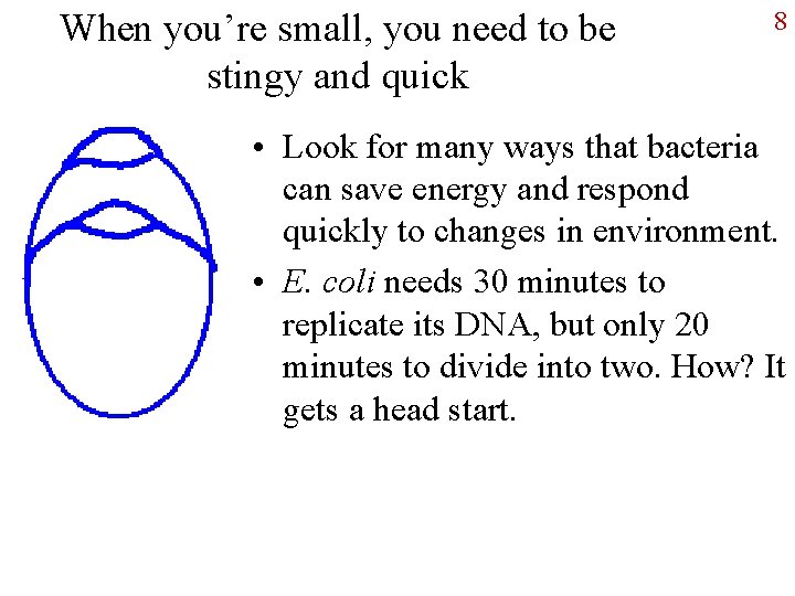 When you’re small, you need to be stingy and quick 8 • Look for