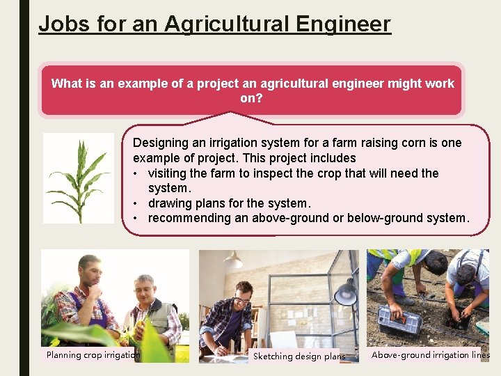 Jobs for an Agricultural Engineer What is an example of a project an agricultural