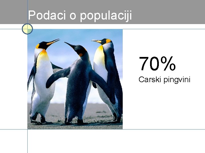 Podaci o populaciji 70% Carski pingvini 