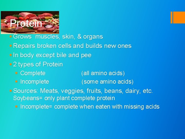 Protein § Grows muscles, skin, & organs § Repairs broken cells and builds new