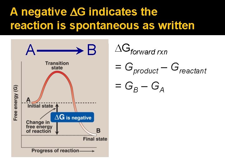 A negative DG indicates the reaction is spontaneous as written A B DGforward rxn