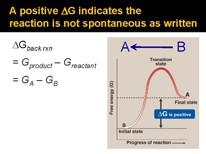 A positive DG indicates the reaction is not spontaneous as written DGback rxn =