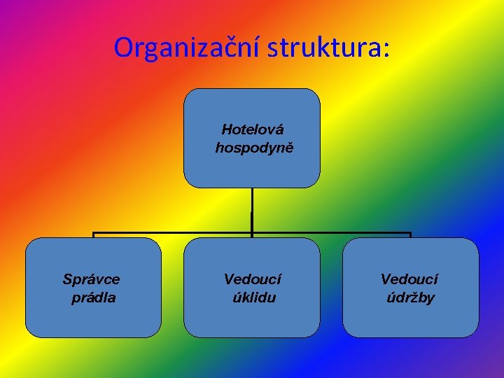 Organizační struktura: Hotelová hospodyně Správce prádla Vedoucí úklidu Vedoucí údržby 