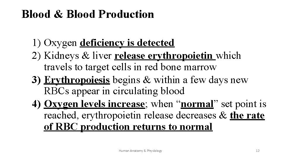 Blood & Blood Production 1) Oxygen deficiency is detected 2) Kidneys & liver release