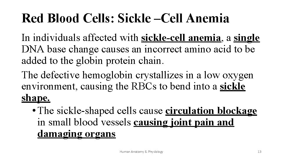 Red Blood Cells: Sickle –Cell Anemia In individuals affected with sickle-cell anemia, a single