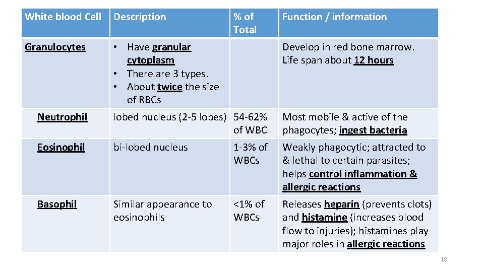 White blood Cell Description Granulocytes • Have granular cytoplasm • There are 3 types.
