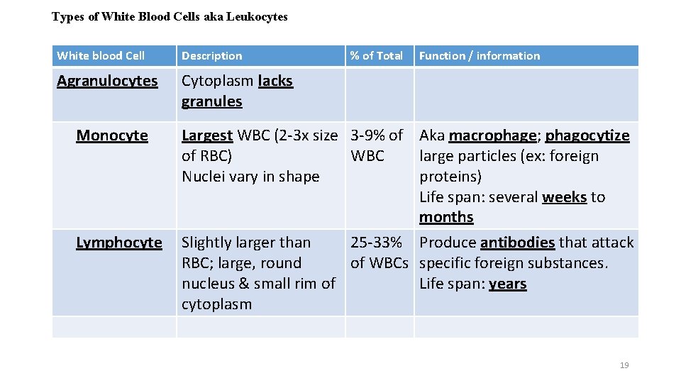 Types of White Blood Cells aka Leukocytes White blood Cell Description Agranulocytes Cytoplasm lacks