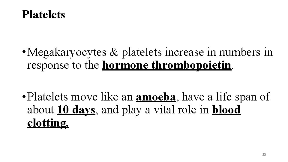 Platelets • Megakaryocytes & platelets increase in numbers in response to the hormone thrombopoietin.