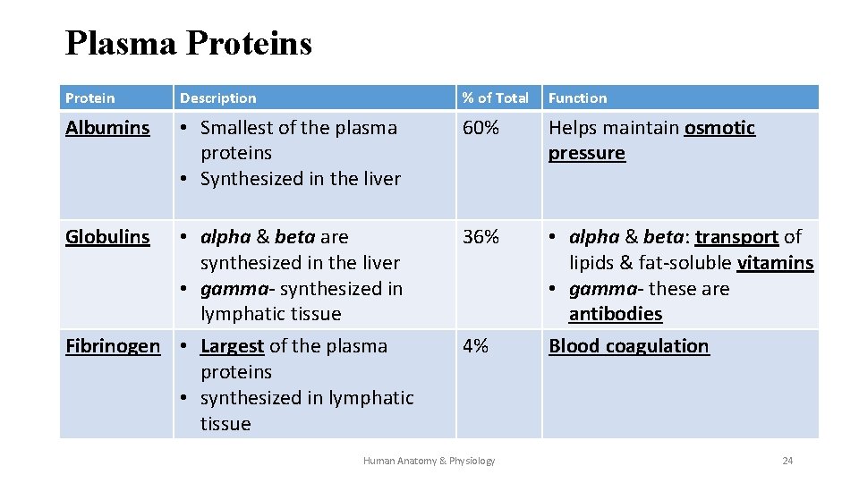 Plasma Proteins Protein Description % of Total Function Albumins • Smallest of the plasma