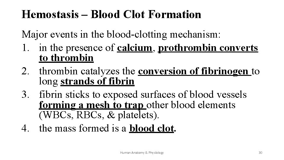 Hemostasis – Blood Clot Formation Major events in the blood-clotting mechanism: 1. in the