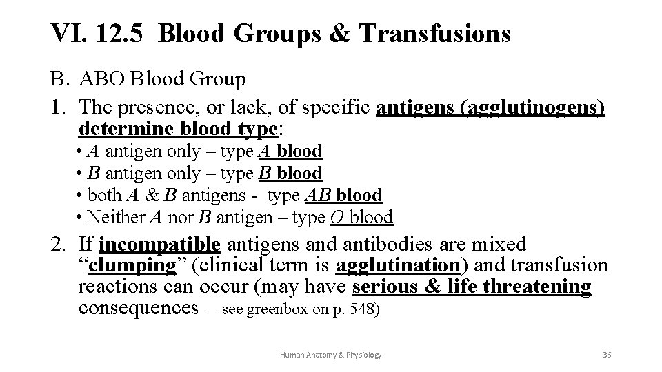 VI. 12. 5 Blood Groups & Transfusions B. ABO Blood Group 1. The presence,