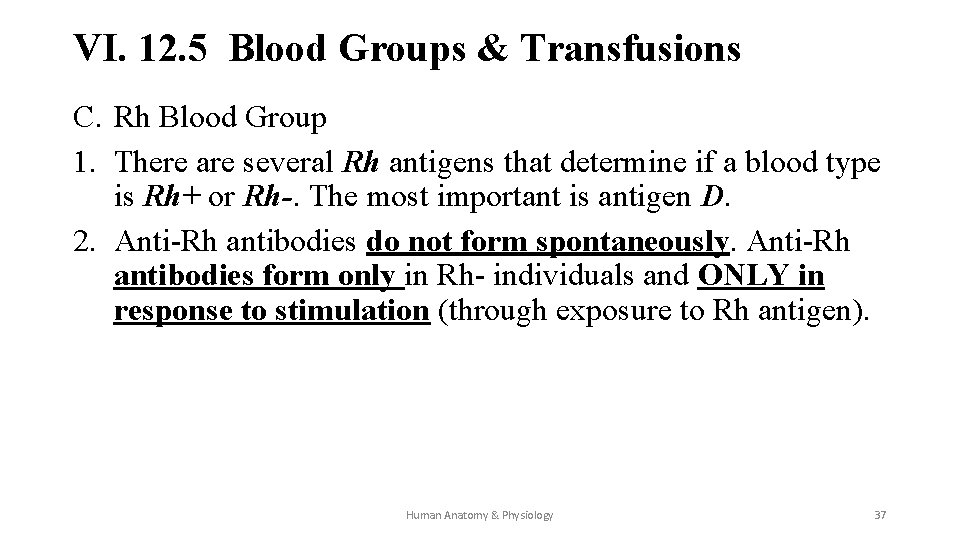 VI. 12. 5 Blood Groups & Transfusions C. Rh Blood Group 1. There are