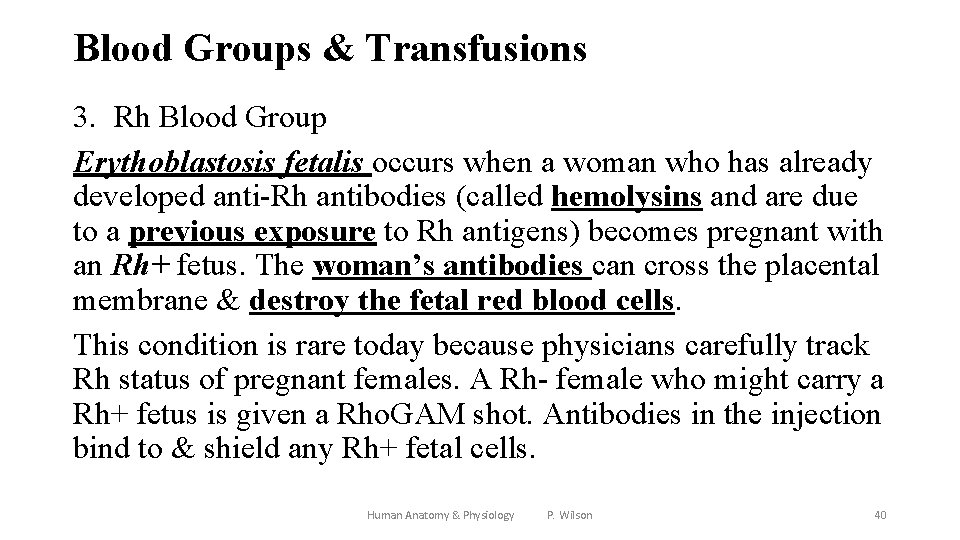 Blood Groups & Transfusions 3. Rh Blood Group Erythoblastosis fetalis occurs when a woman