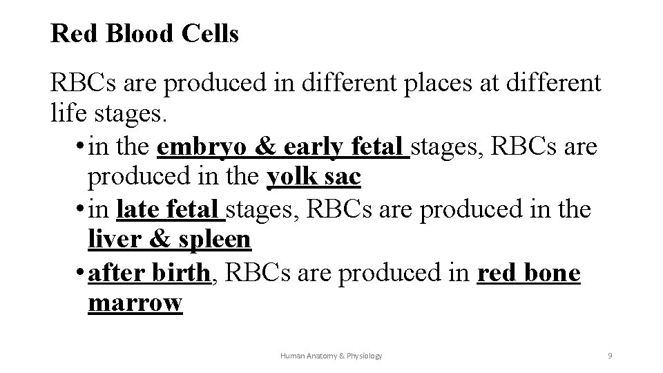 Red Blood Cells RBCs are produced in different places at different life stages. •