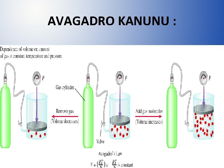 AVAGADRO KANUNU : 