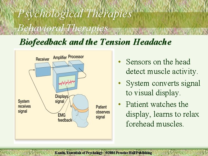 Psychological Therapies Behavioral Therapies Biofeedback and the Tension Headache • Sensors on the head
