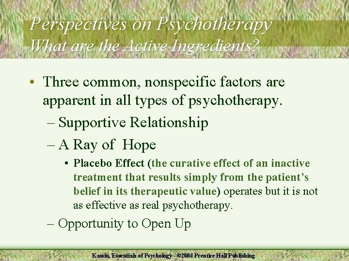 Perspectives on Psychotherapy What are the Active Ingredients? • Three common, nonspecific factors are