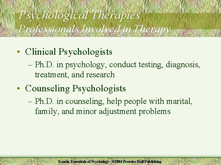 Psychological Therapies Professionals Involved in Therapy • Clinical Psychologists – Ph. D. in psychology,